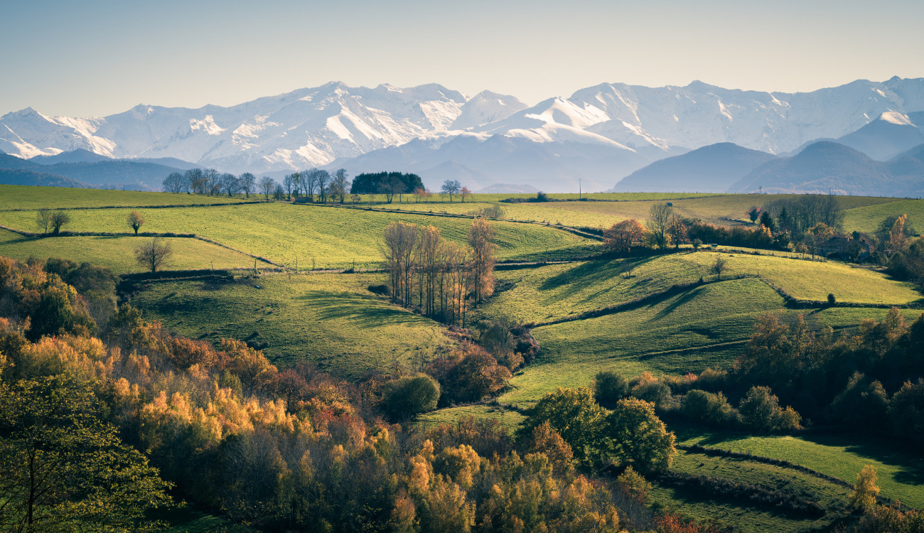 Nos valeurs Saveurs des Pyrénées