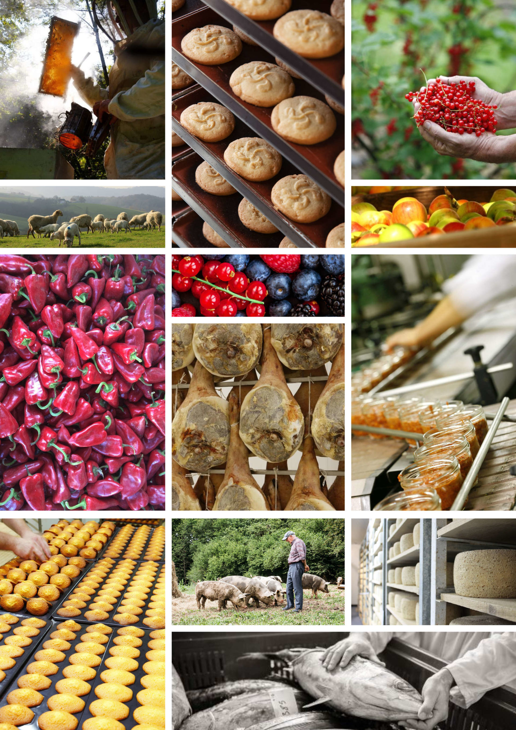 Un nouveau site pour saveurs ! Nouveau site Saveurs des Pyrénées